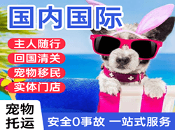 永州零陵机场货运国际宠物托运 【国